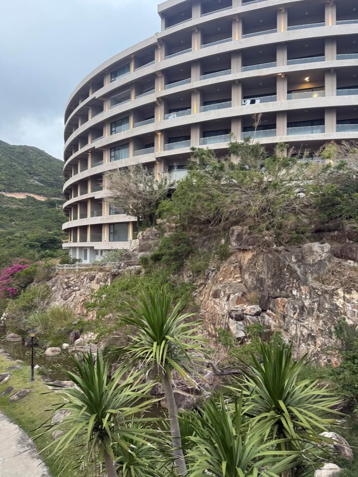 Nhà 40m² Hoàng Văn Thụ, Quy Nhơn - Giá 2.59 Tỷ, Sẵn Sàng Vào Ở Ngay