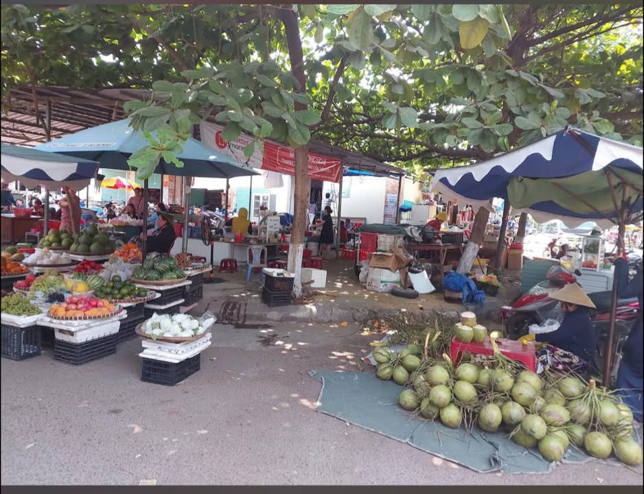 Nhà Phố Ghềnh Ráng Quy Nhơn 46m² - Mặt tiền kinh doanh đắc địa!