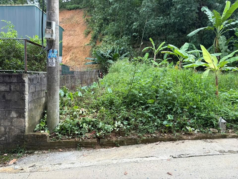 Đất Yên Bái 72m² - Ngõ Ô Tô, Giá 6xx Triệu - Chính Chủ Bán Gấp