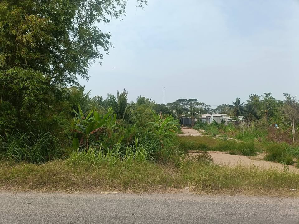 Đất nền Phú Tân An Giang 1000m² - Mặt tiền Quốc lộ 80B giá 990 triệu!