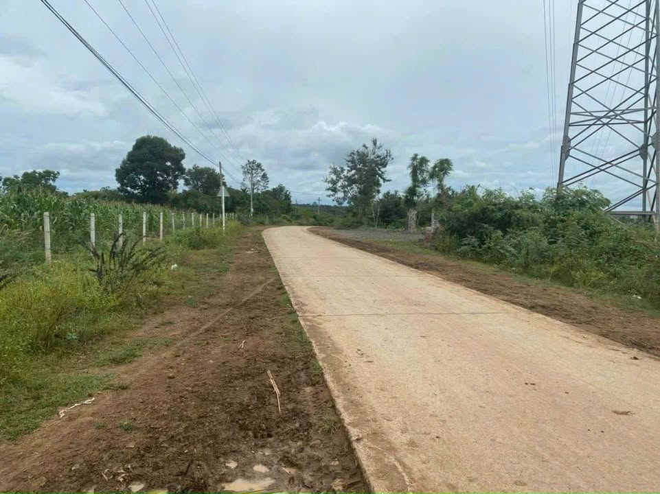 Đất nền Buôn Đôn Đắk Lắk 15.000m² – Đường ô tô, tiềm năng lớn!