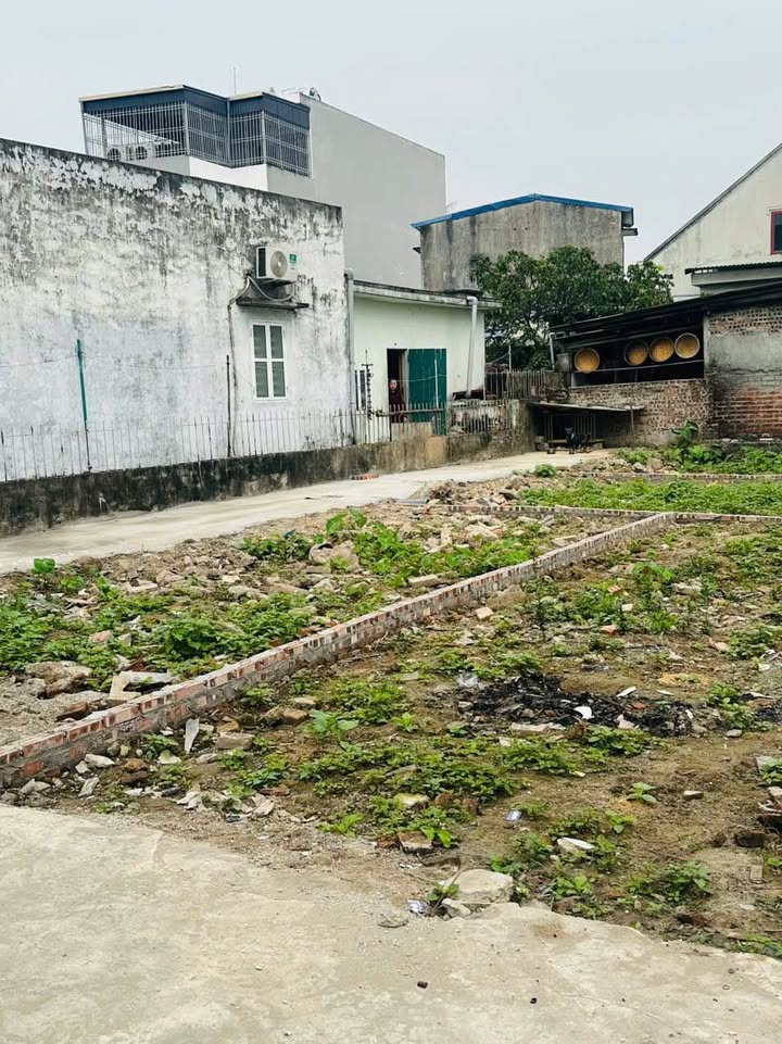 Đất nền An Dương 40m² giá 1 tỷ - Tiềm năng tăng giá vượt trội!