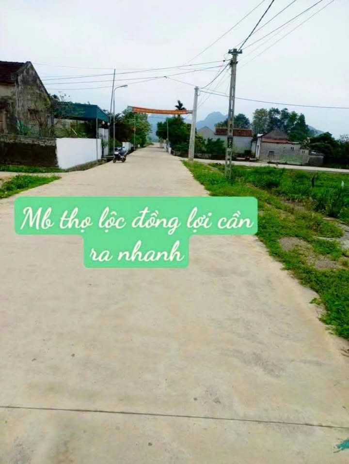 Đất nền Thọ Cường, Triệu Sơn 138m² - Sổ đỏ chính chủ, giá cực tốt!