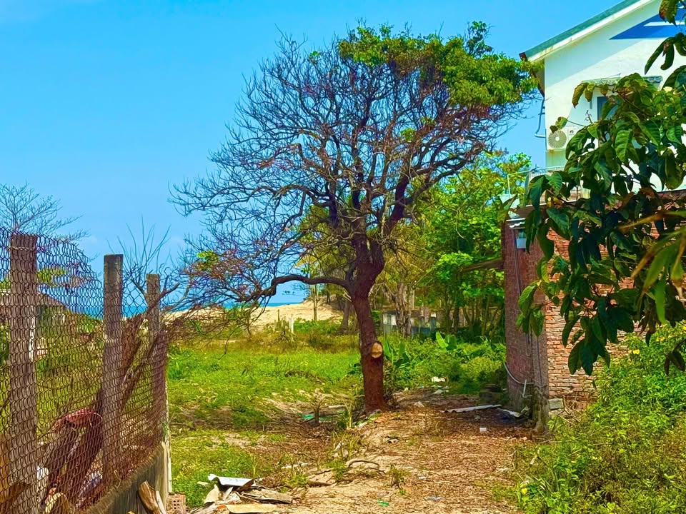 Đất Nền Thăng Bình - 320m² Mặt Tiền Biển, Sổ Đỏ Hoàn Toàn