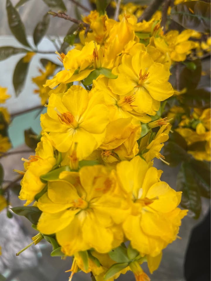 Đất nền Phường 10 Vũng Tàu 81m² - Tiềm năng tăng giá!