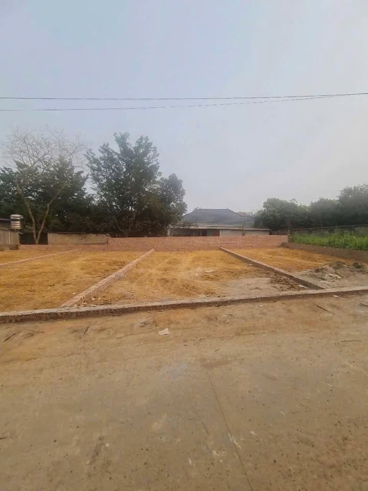 Bán đất Ba Vì 100m² sổ đỏ, ô tô vào tận nơi - Đầu tư lý tưởng