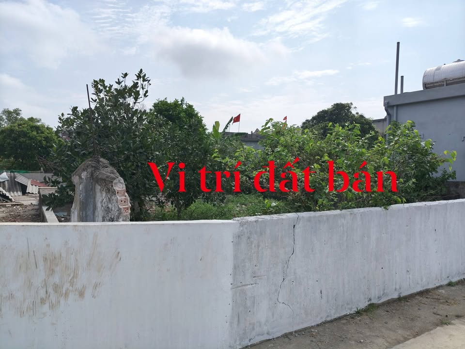 Bán Đất Giao Châu Nam Định 262m² - Sổ Đỏ Sẵn Sàng - Giá Tốt Đầu Năm