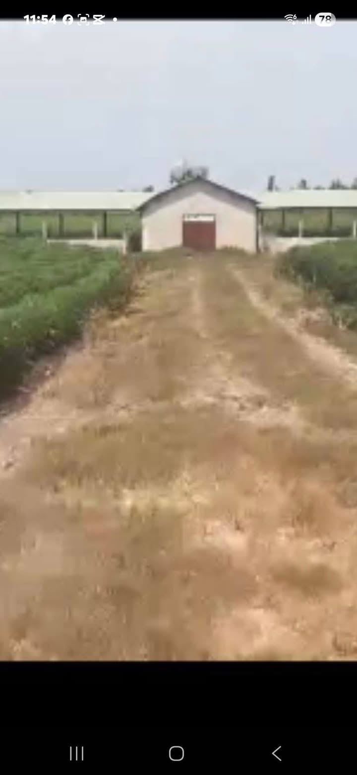 Bán gấp 20.000m² đất trang trại tại Mỏ Công, Tân Biên - Tiềm năng chăn nuôi