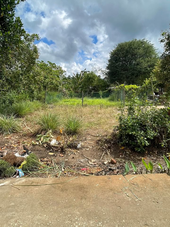 Đất Nền Tánh Linh 287m² - Gần Chợ, Trường Học - Sổ Đỏ Riêng