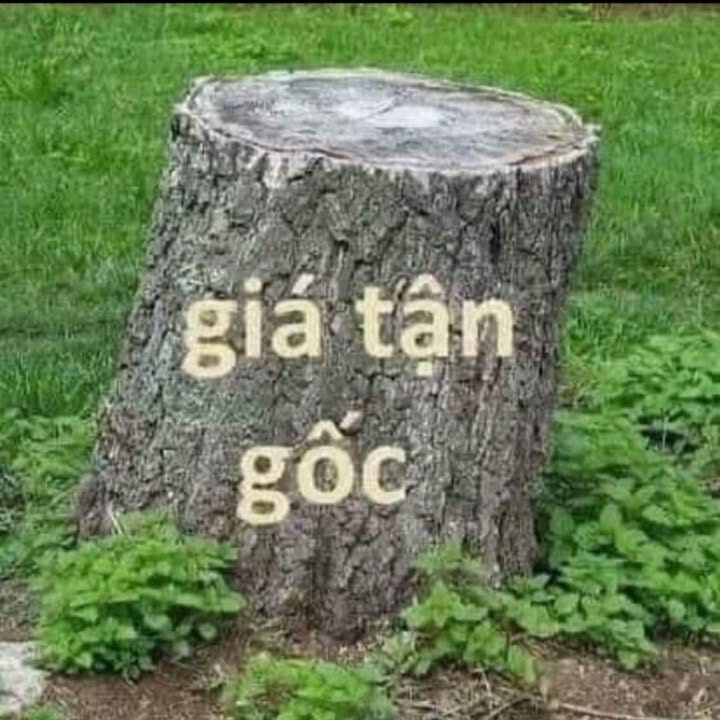 Đất nền Đường Châu Phong Việt Trì 102m² - Sổ đỏ chính chủ