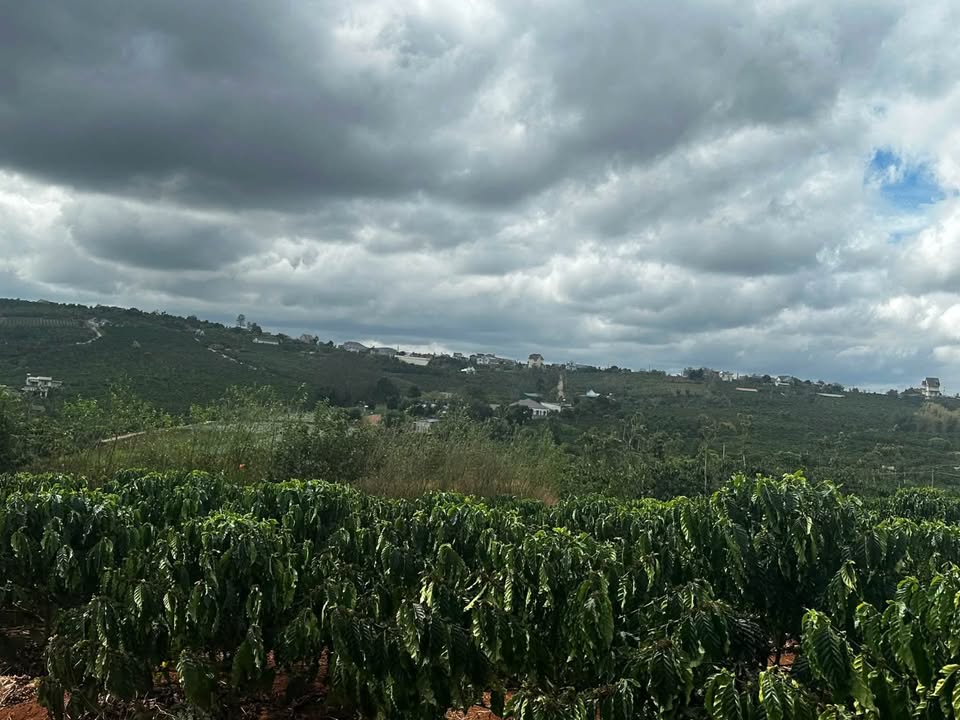 Bán đất 360m² mặt đường TT Tân Hà, Lâm Đồng - 870 triệu