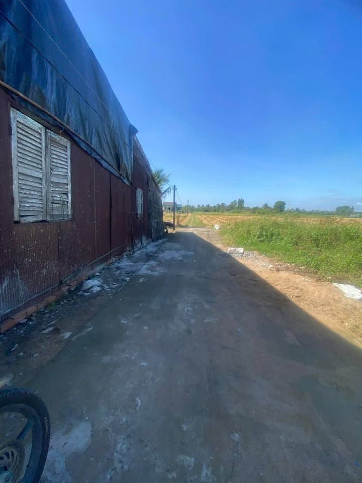 Đất nền Bình Xuân, Gò Công - 1300m² Sổ Đỏ F0 Giá 250 Triệu