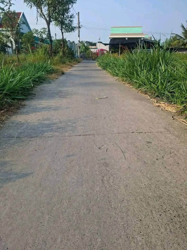 Đất nền Gò Công Đông 162m² giá 350 triệu - Sổ đỏ chính chủ!