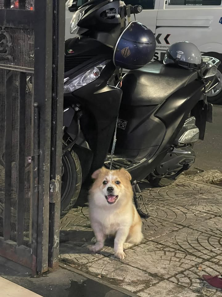 Bán đất tặng dãy trọ 75m² Cẩm Lệ, Đà Nẵng - Dòng tiền sẵn có