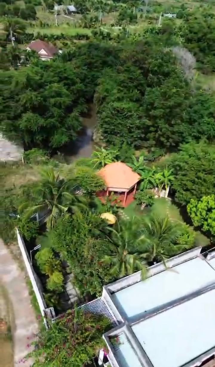 Bán Gấp Nhà Vườn 800m² Hàm Đức, Hoài Đức - Nghỉ Dưỡng Lý Tưởng, Sổ Sẵn