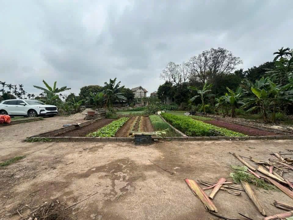 Đất Thọ Lộc, Phúc Thọ 42m² Sổ Đỏ, Ô tô vào tận nơi - Giá chỉ 1 tỷ