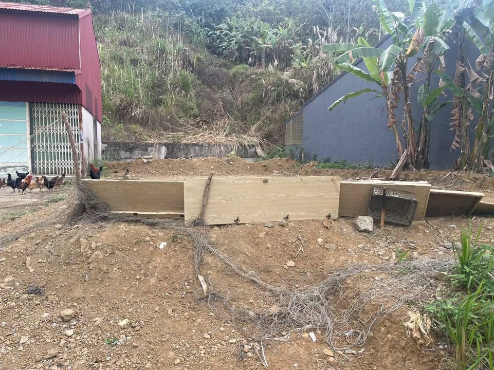 Đất Vàng Phường Duyên Hải, Lào Cai - 200m² Kinh Doanh/Đầu Tư Hấp Dẫn