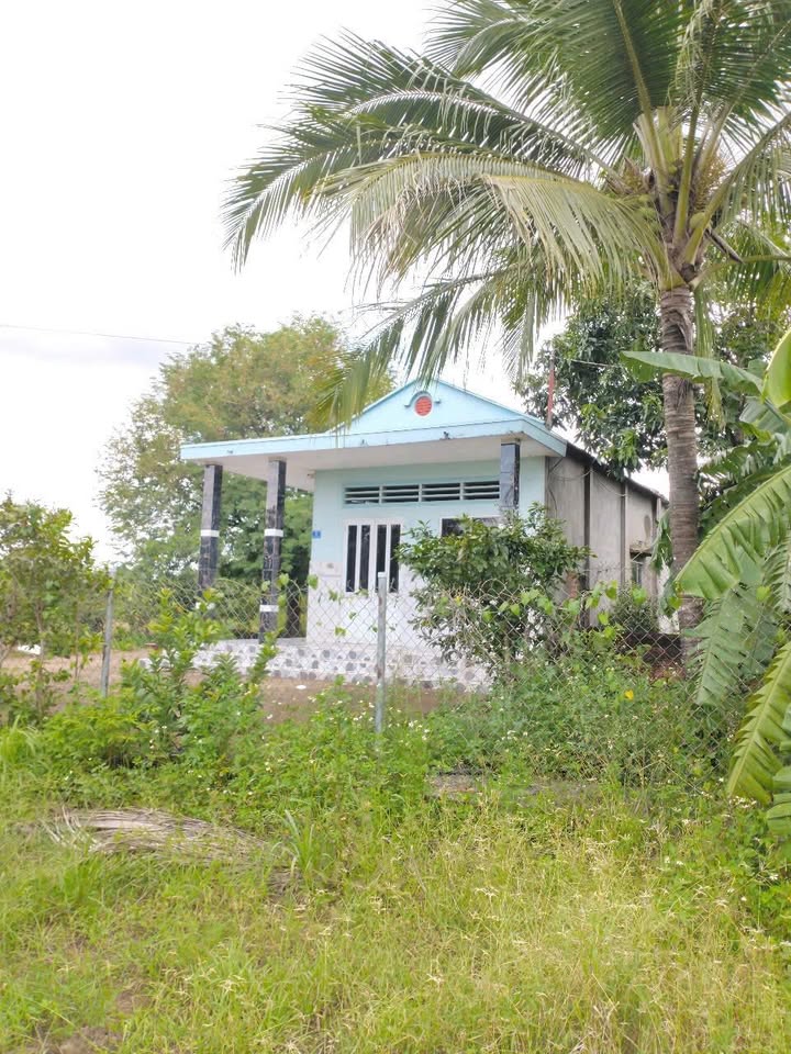 Nhà vườn Vĩnh An 1300m² 3 triệu - Sẵn sàng ở ngay