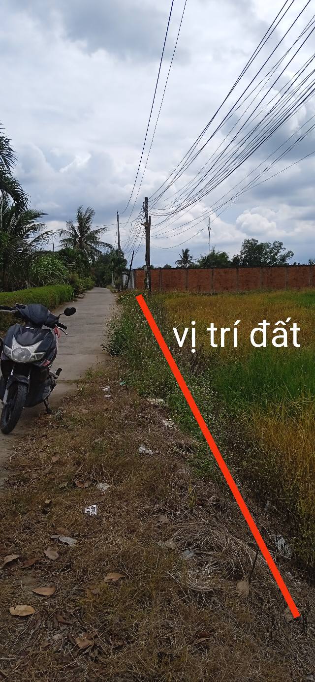 Đất nền Ấp 1 Nhị Thành 12000m² - Tiềm năng tăng giá vượt trội!