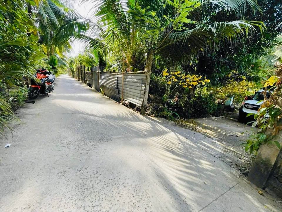 Bán đất TP Bến Tre 1239m² giá 950 triệu - Tiềm năng tăng giá!