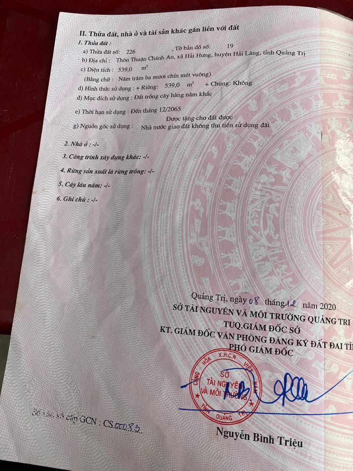 Đất nền Hải Lâm, Hải Lăng 122m² giá 250 triệu - Đường to ô tô, tiềm năng tăng giá!