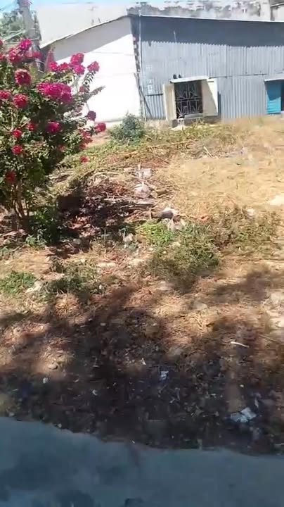 Nhà riêng Phan Thiết 72m² - Ô tô vào tận nhà, sổ đỏ chính chủ!