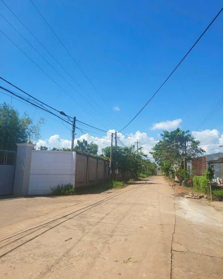 Bán Gấp 3.3ha Đất Nhà Xưởng Vĩnh Cửu, Đồng Nai - Dòng Tiền 200tr/tháng