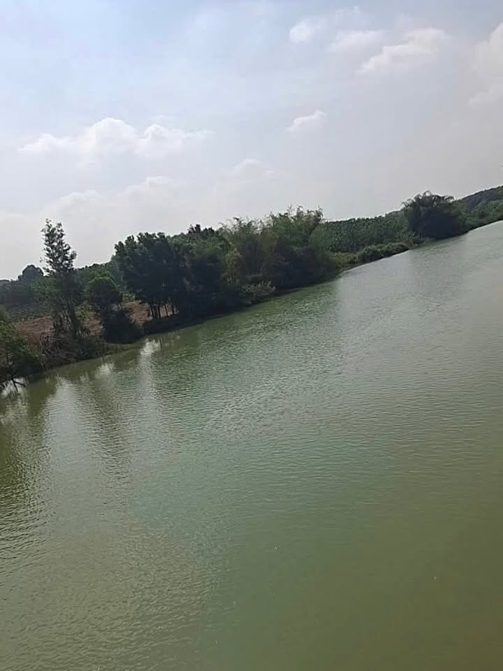 Bán Gấp Đất Nền 60.000m² view Sông Bé - Chơn Thành, Bình Phước