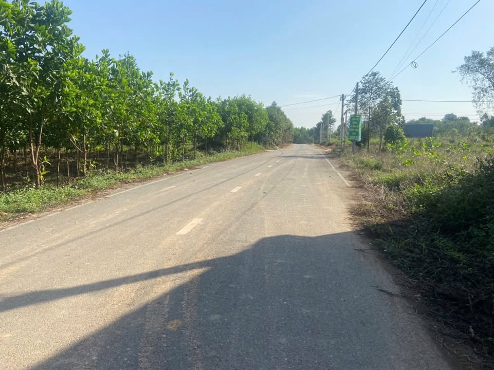 Bán đất Sóc Sơn 1026m² sổ hồng, gần hồ Cầu Bãi - Cơ hội đầu tư sinh lời