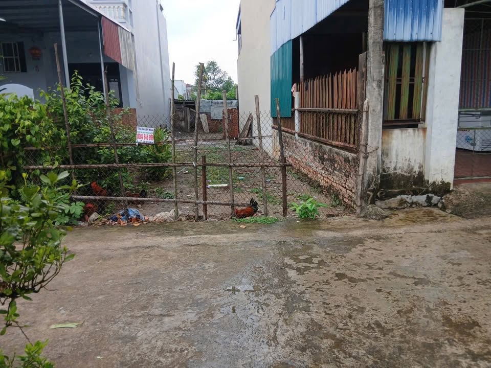 Đất nền Tây Hồ 131m² giá 2.3 tỷ - Tiềm năng tăng giá vượt trội!