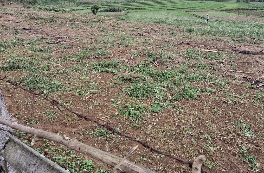 Đất nền Phú Lâm Tuyên Quang 150m² giá 9xx triệu - Tiềm năng tăng giá!