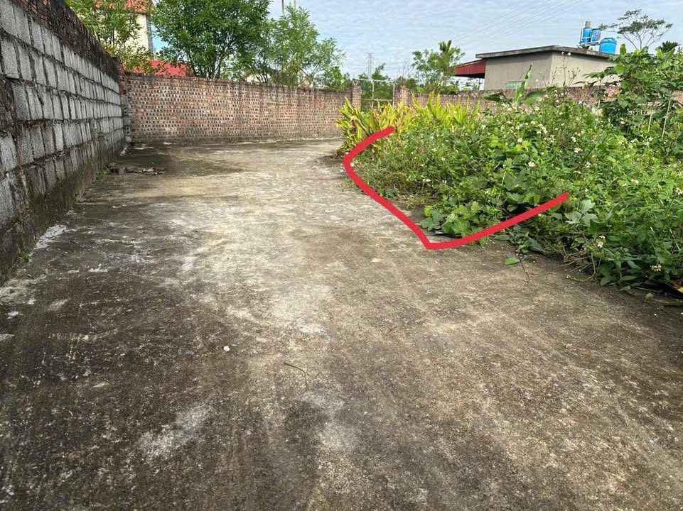Đất nền Hòa An, Thái Thụy 100m² hơn 300 triệu - Sổ đỏ chính chủ!