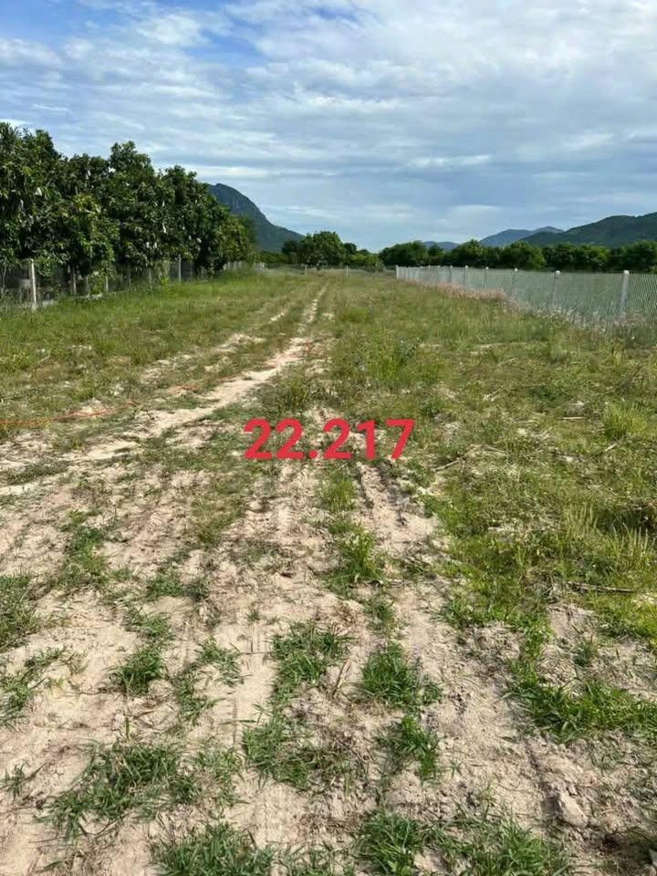 Đất Nền Cam Lâm 1200m² Giá 690 Triệu - Sổ Đỏ Rõ Ràng