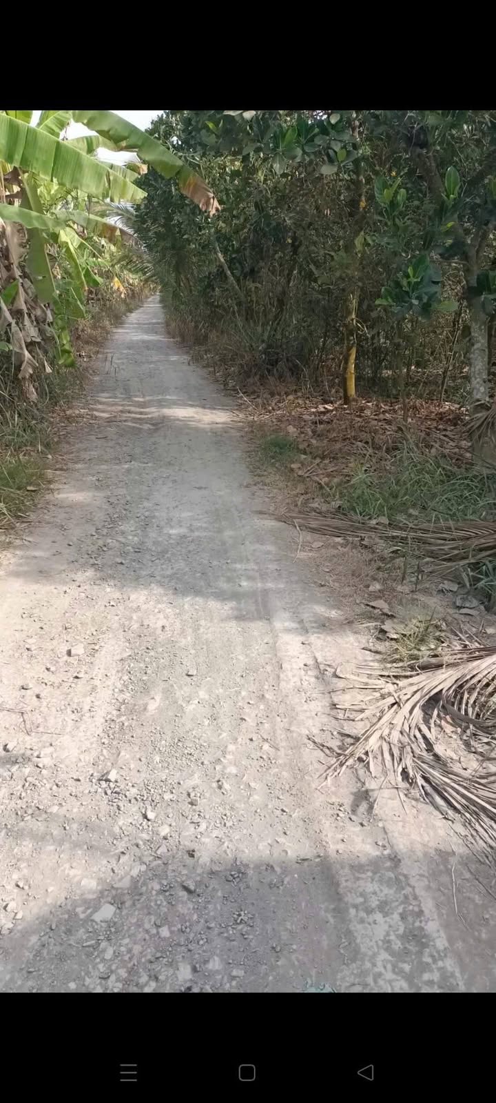 Đất vườn Đốc Binh Kiều Đồng Tháp 702m² - Giá đầu tư tốt!