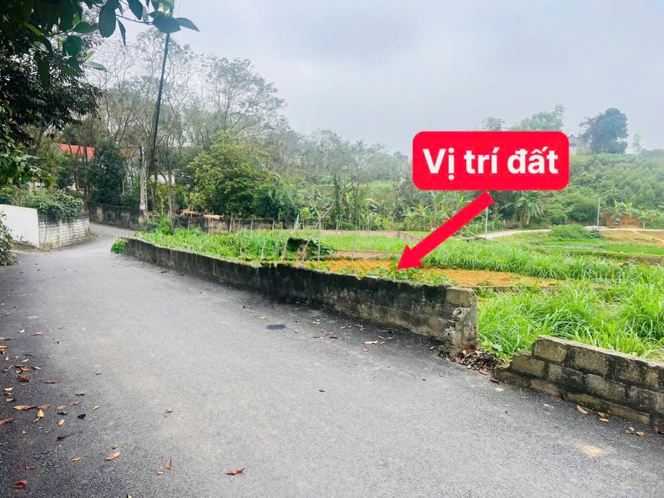 Đất nền 104m² Tam Dương Vĩnh Phúc - Đường ô tô tránh, tiềm năng!