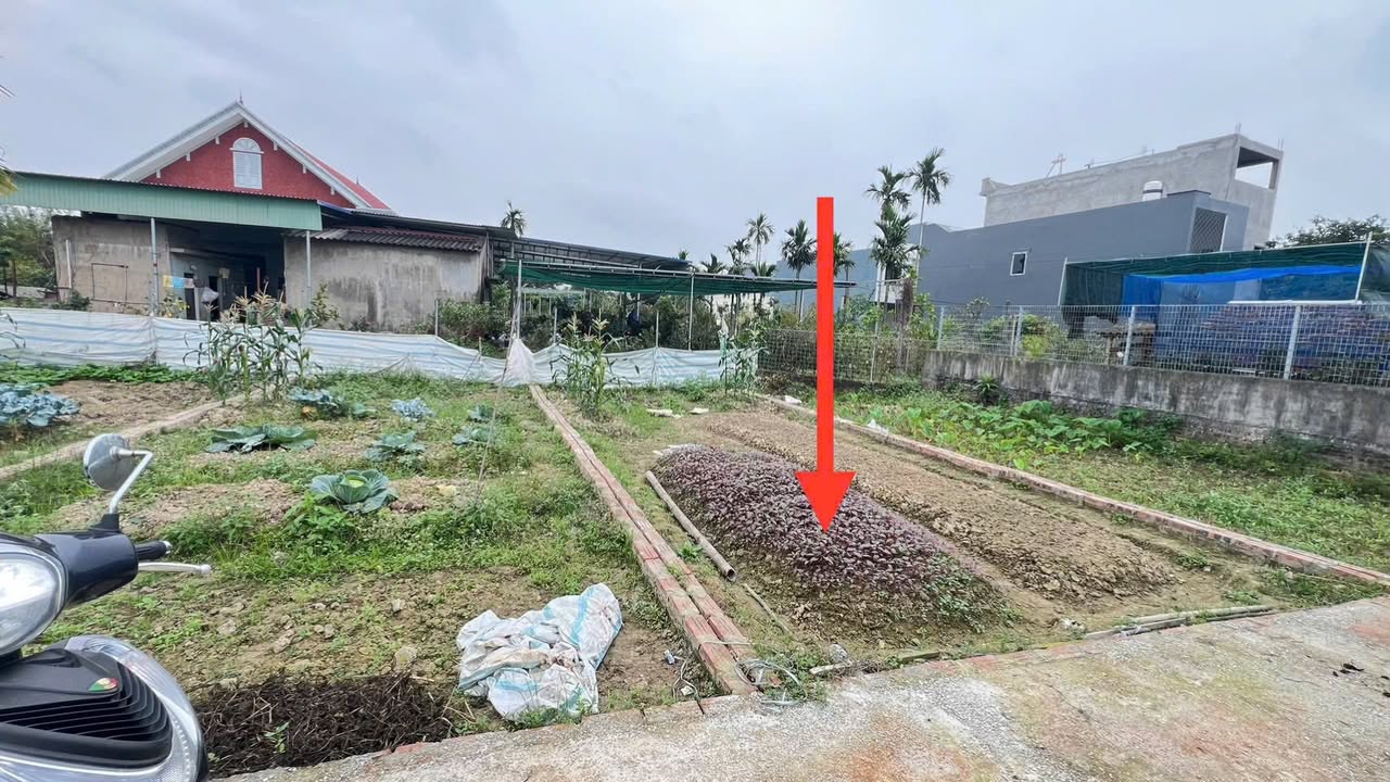 Đất Nền Kiều Trung Hải Phòng 48m² - Ngõ Ô Tô Sẵn Sàng - 745 Triệu