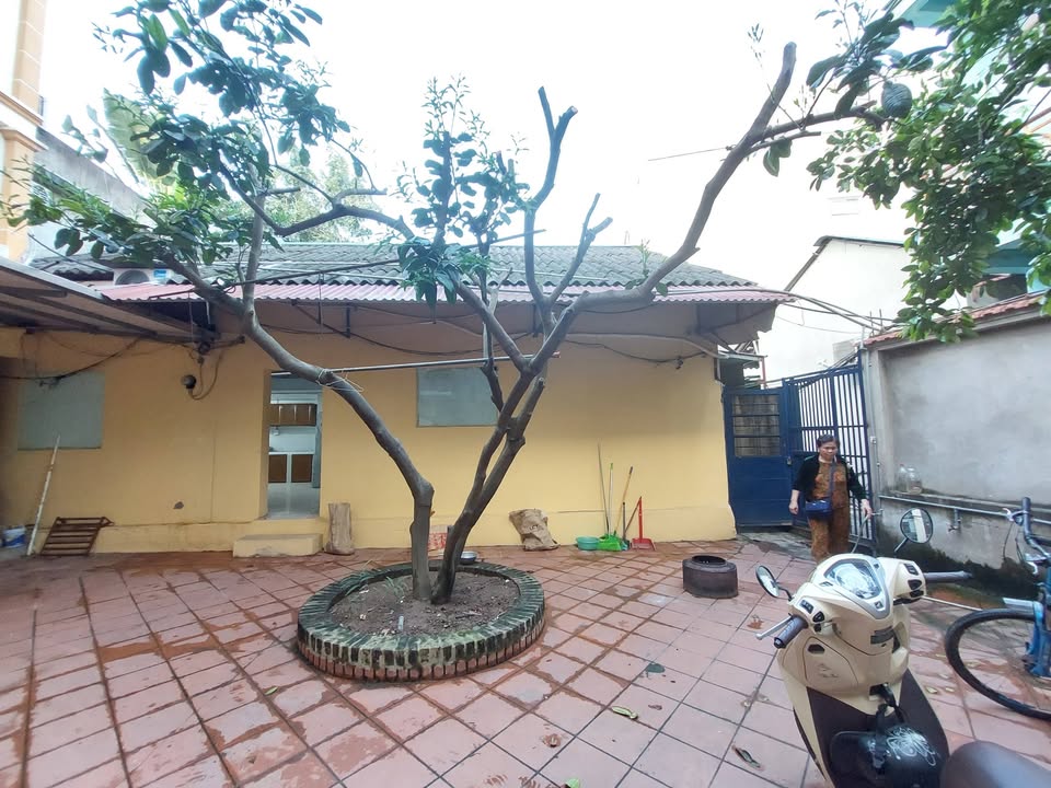 Nhà nguyên căn Tứ Liên, Tây Hồ 40m² - Sẵn sàng ở ngay!