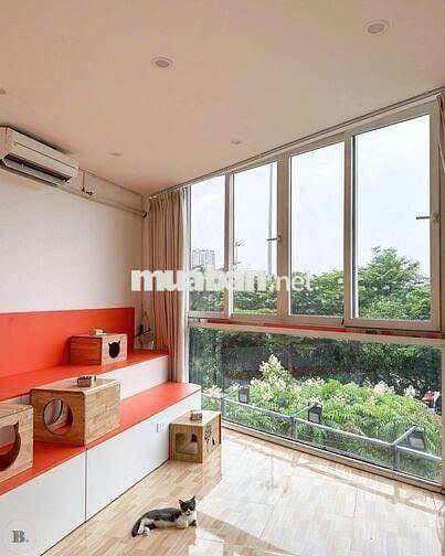 Nhà mặt phố Võ Chí Công, Cầu Giấy 25m² - Mặt tiền kinh doanh!