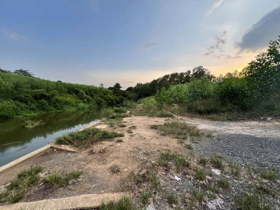 Đất Nền Giang Điền 1000m² - View Sông Thoáng Đãng, Sổ Riêng