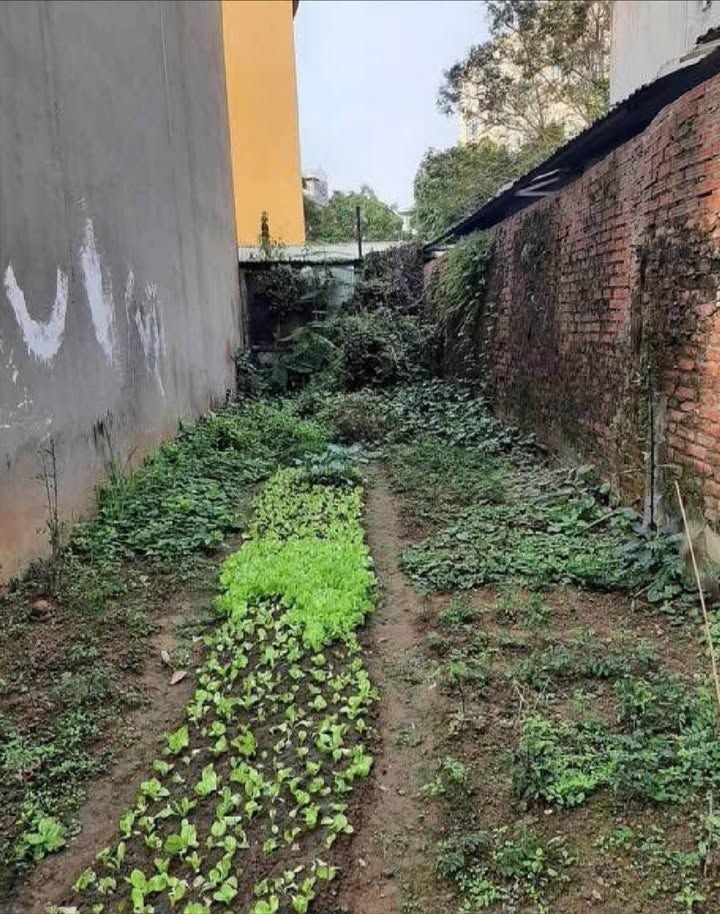 Đất nền Việt Hưng 62m² chỉ 8.432 tỷ - Tiềm năng tăng giá vượt trội!