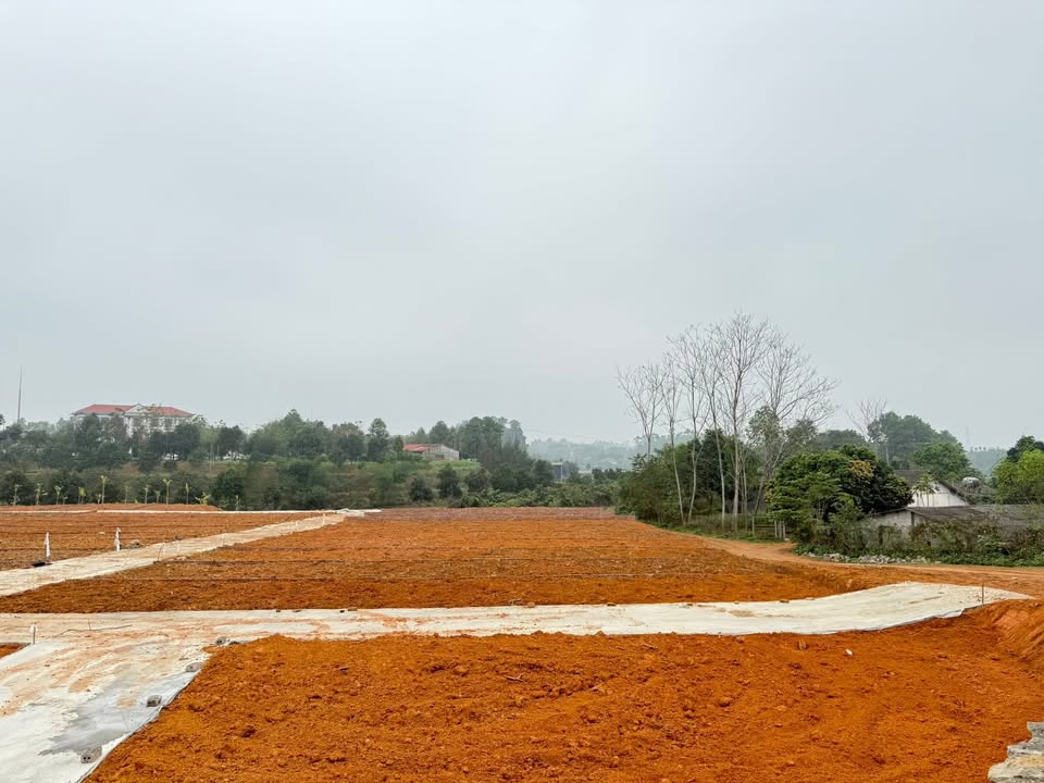 Đất nền Tiên Kiên, Việt Trì 107.4m² - Sổ đỏ rõ ràng, giá đầu tư 450 triệu