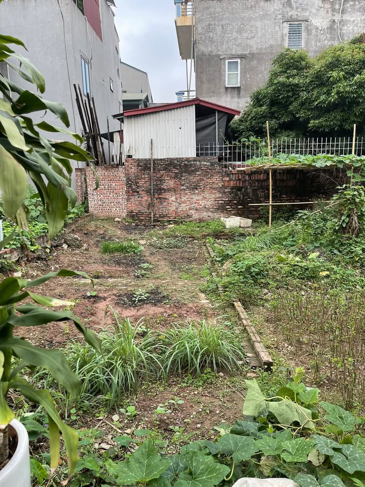 Đất Vàng Ỷ Lan, Hai Bà Trưng: 45m² Sổ Đỏ Riêng - Đầu Tư Sinh Lời Hay An Cư Lý Tưởng