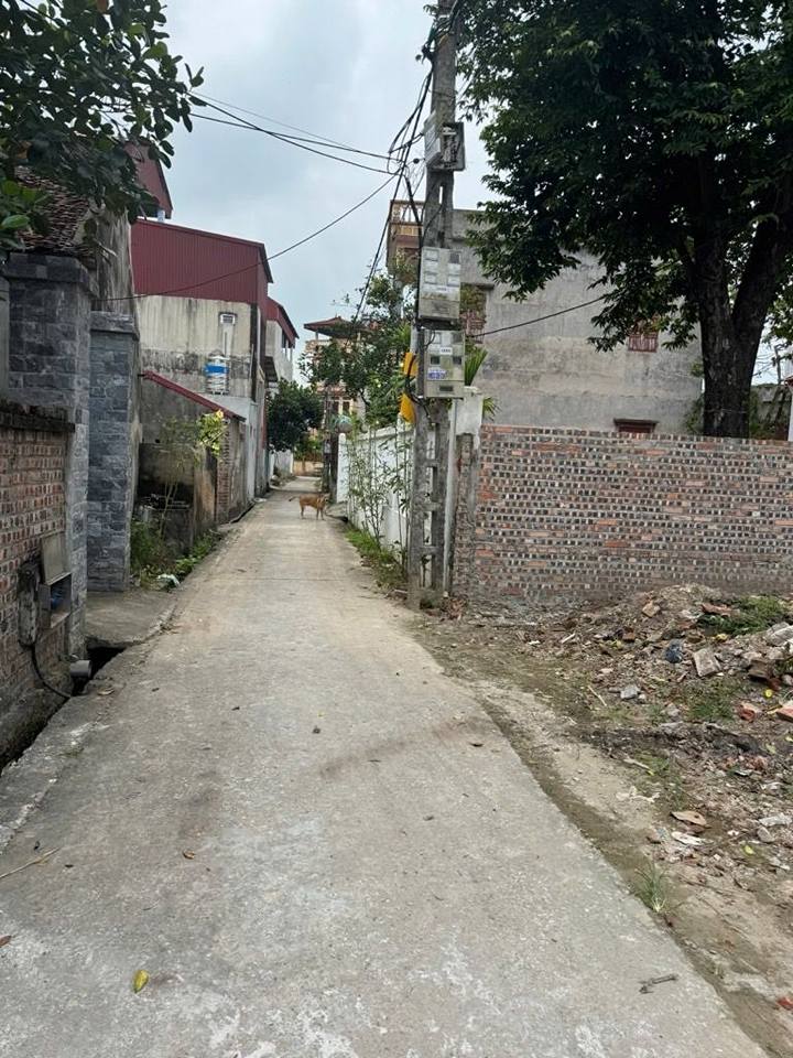 Đất nền Đại Bái, Gia Bình 60m² 1 tỷ - Sổ đỏ chính chủ!