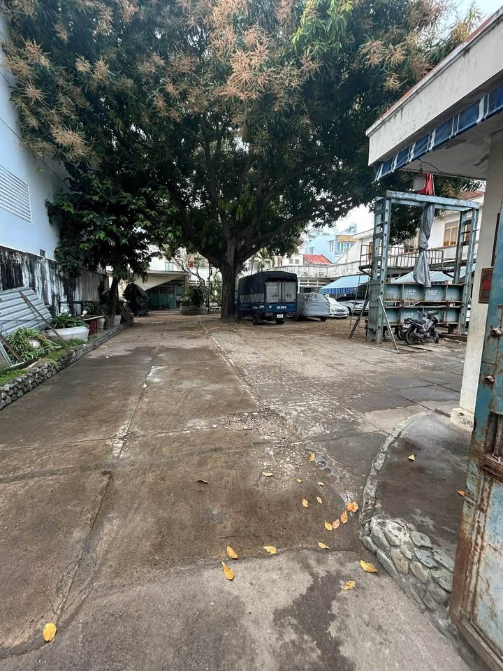 Đất trống Lê Hồng Phong Nha Trang 400m² - Xây dựng tự do!