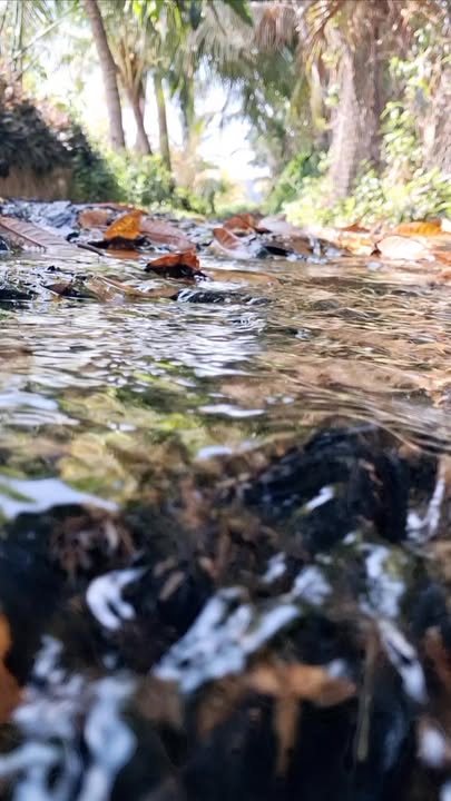 Bán đất vườn Hàm Liêm, Bình Thuận 3300m² - Sẵn sổ, gần KCN Phan Thiết