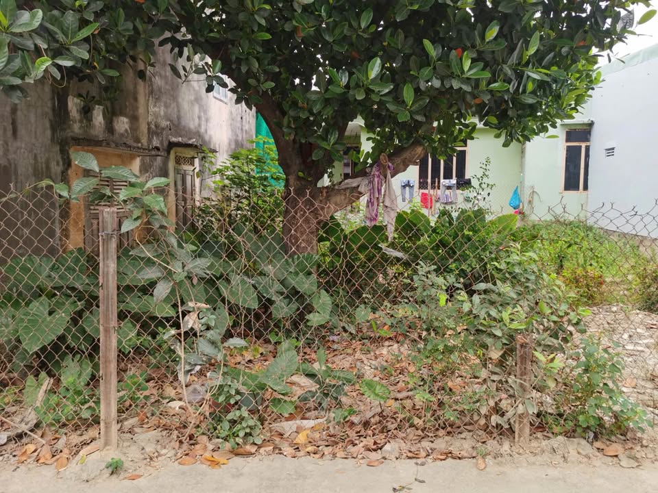 Bán Đất Diên Khánh 125m² Sổ Đỏ - 2.2 Tỷ Hướng Bắc