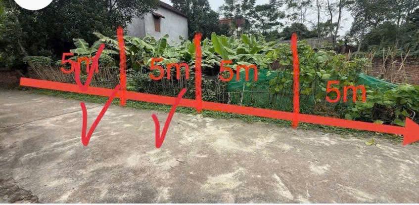 Bán Đất Nền 110m² Việt Trì, Phú Thọ - Giá Dưới 1 Tỷ, Sẵn Sổ Hồng