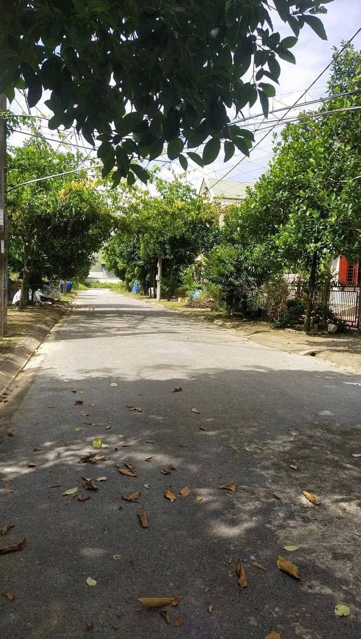 Đất tái định cư Việt Trì 300m² - Sổ đỏ chính chủ, full thổ cư!