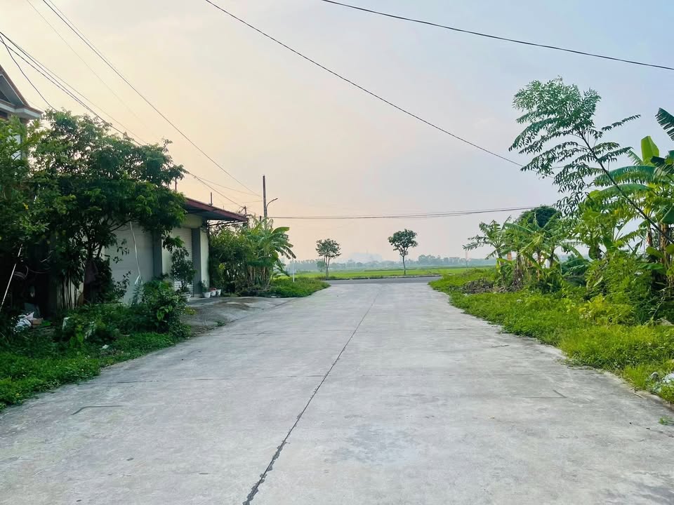 Đất Nền 100m² Gia Trấn, Ninh Bình - Ngay Chợ Gián, Hướng Đông