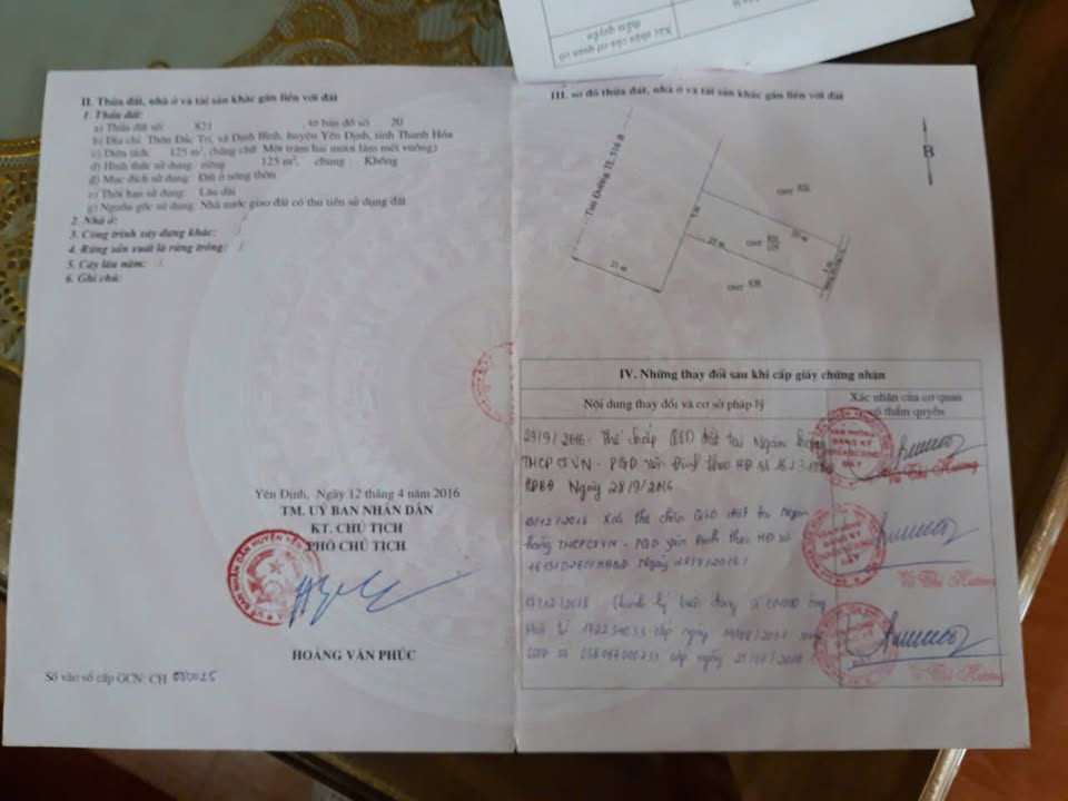 Đất nền Yên Định 125m² mặt tiền Tỉnh lộ 516B - Kinh doanh đắc lợi